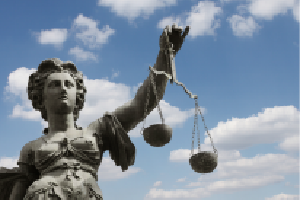 이미지가 없습니다.